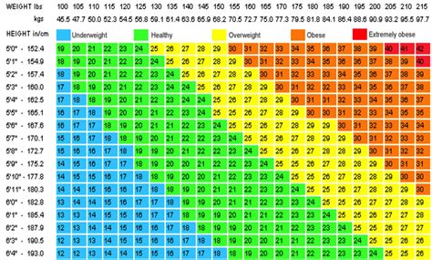 bmi calculator.